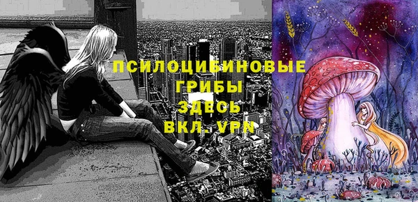 дурь Алзамай