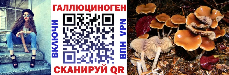 Галлюциногенные грибы мухоморы  Кореновск 